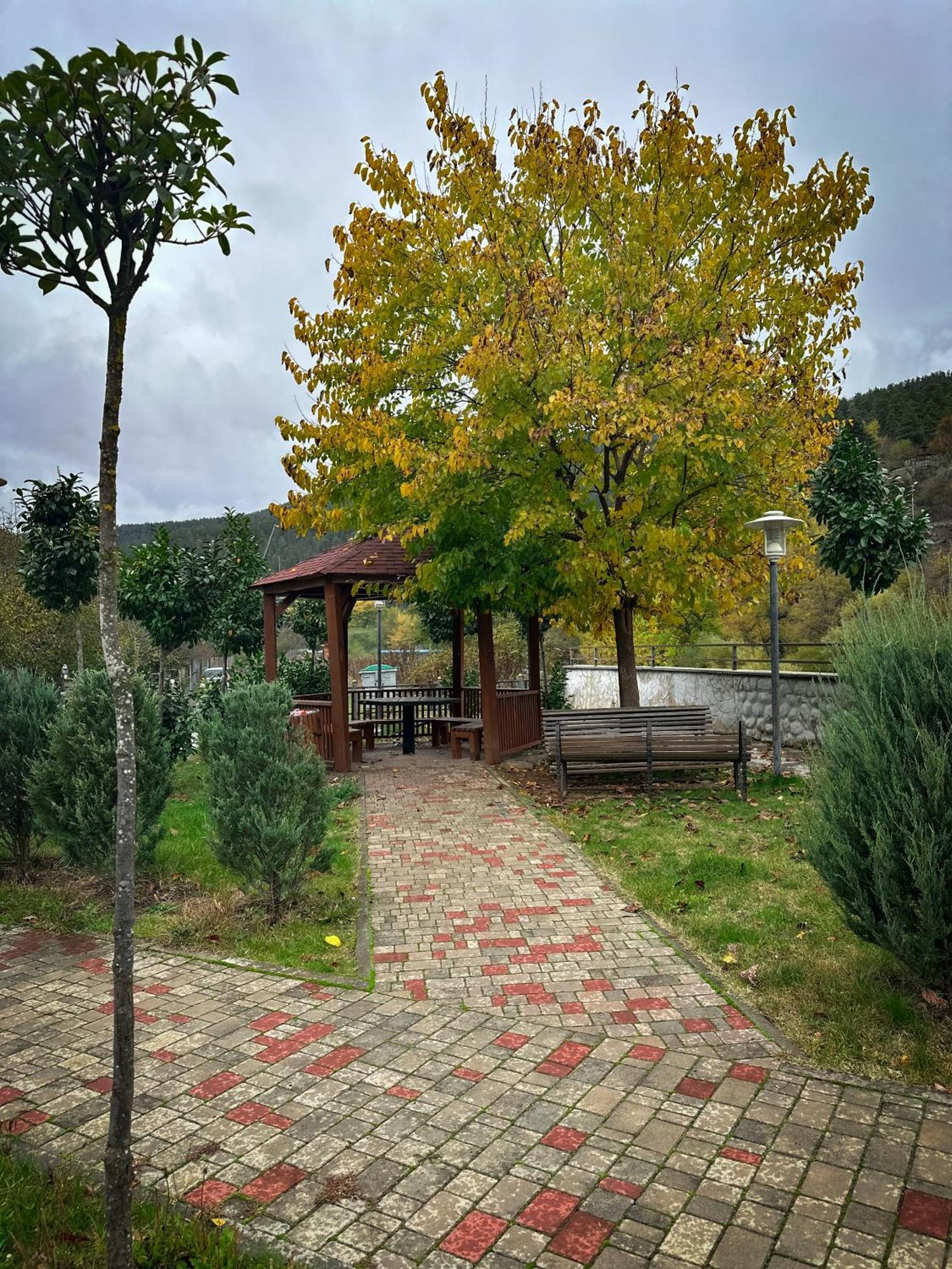 New Borjomi27 Apartment Exterior foto